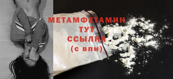 шишки Бородино