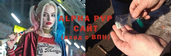 шишки Бородино
