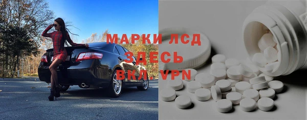 шишки Бородино