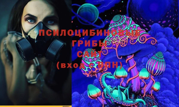 шишки Бородино