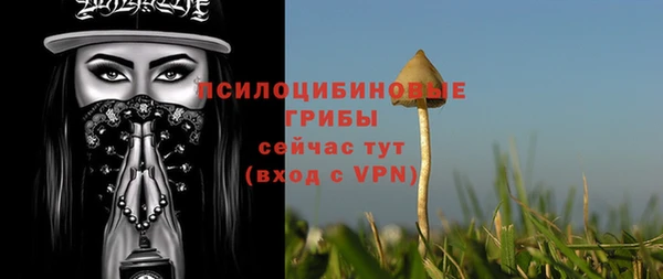 мескалин Бугульма