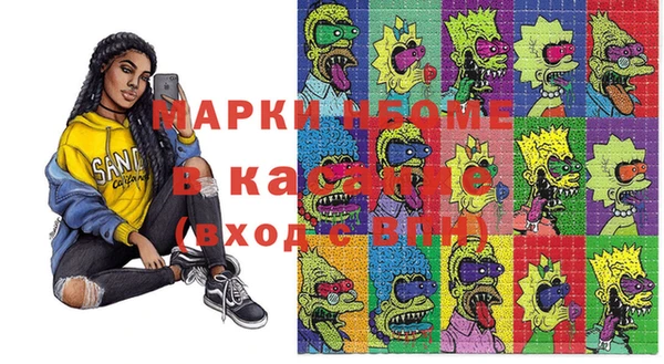 шишки Бородино