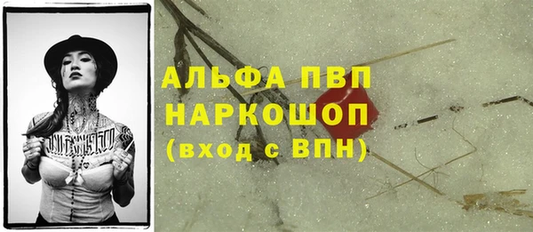 шишки Бородино