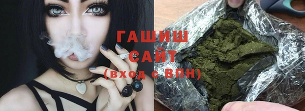 шишки Бородино